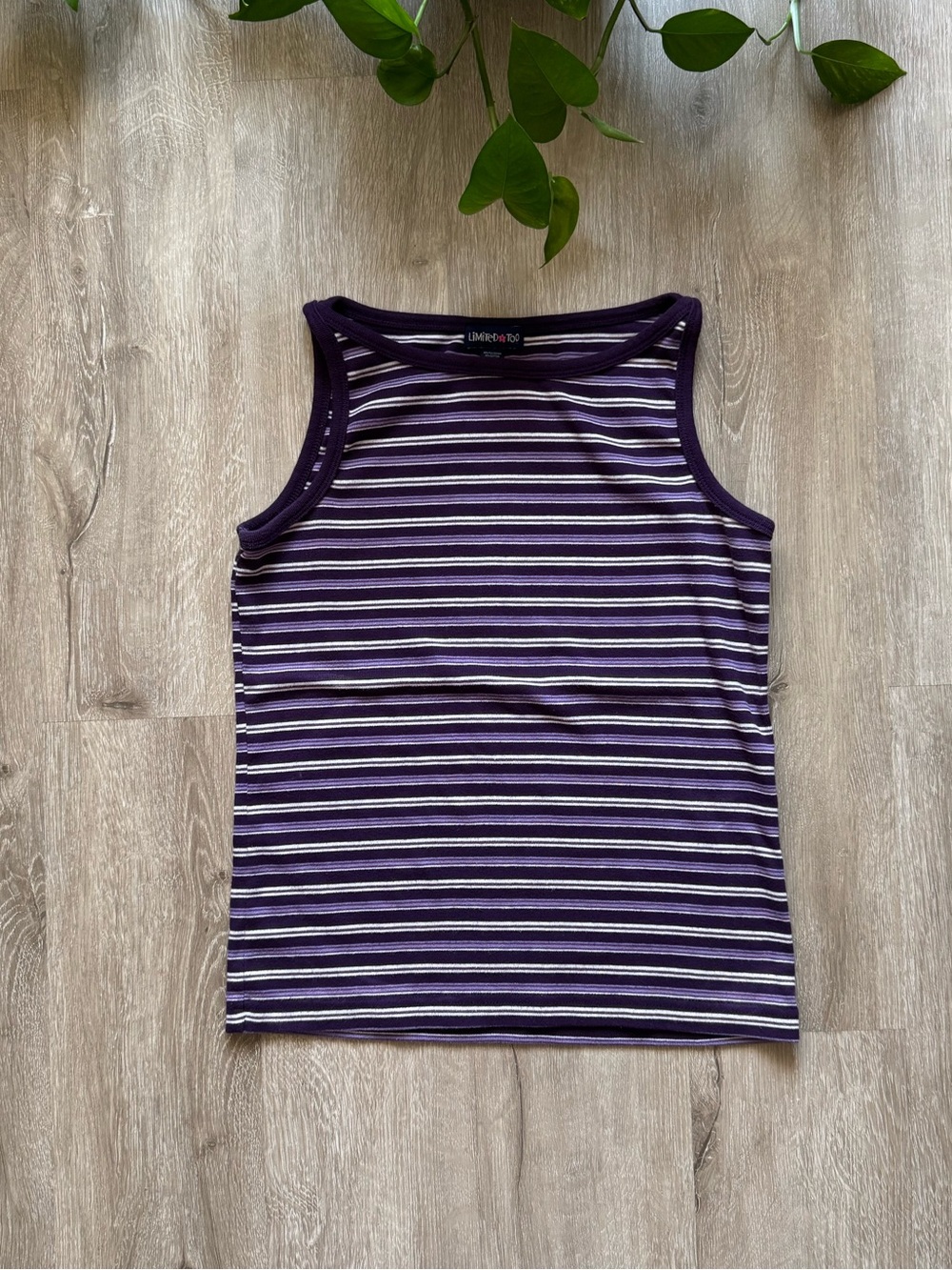 VTG y2k The Limted Too Purple Striped Top